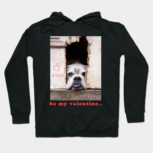 be my valentine Hoodie by Dos Imagery Design